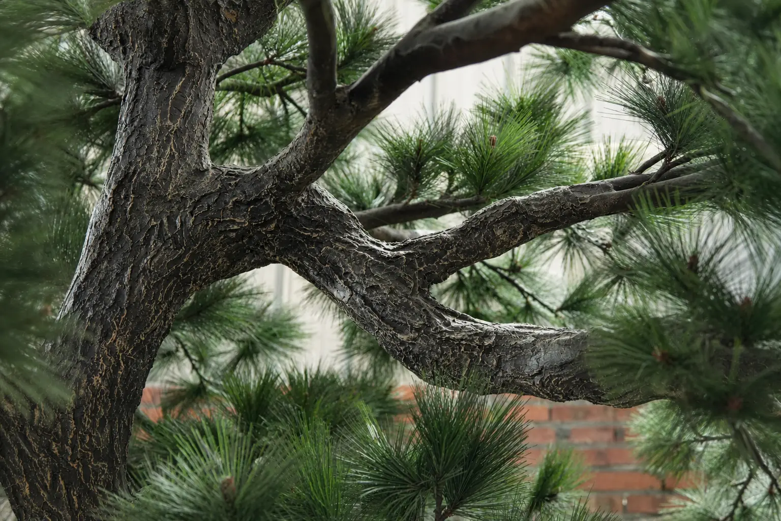 Artificial Pine Branch and Trunk Integration Detailed artificial pine branch integrated into the textured trunk structure