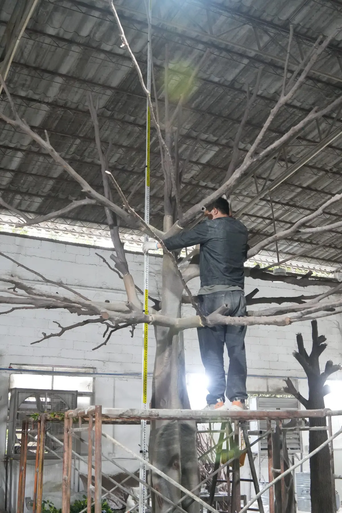 Oakco technician measuring the overall height of a custom artificial tree during quality inspection