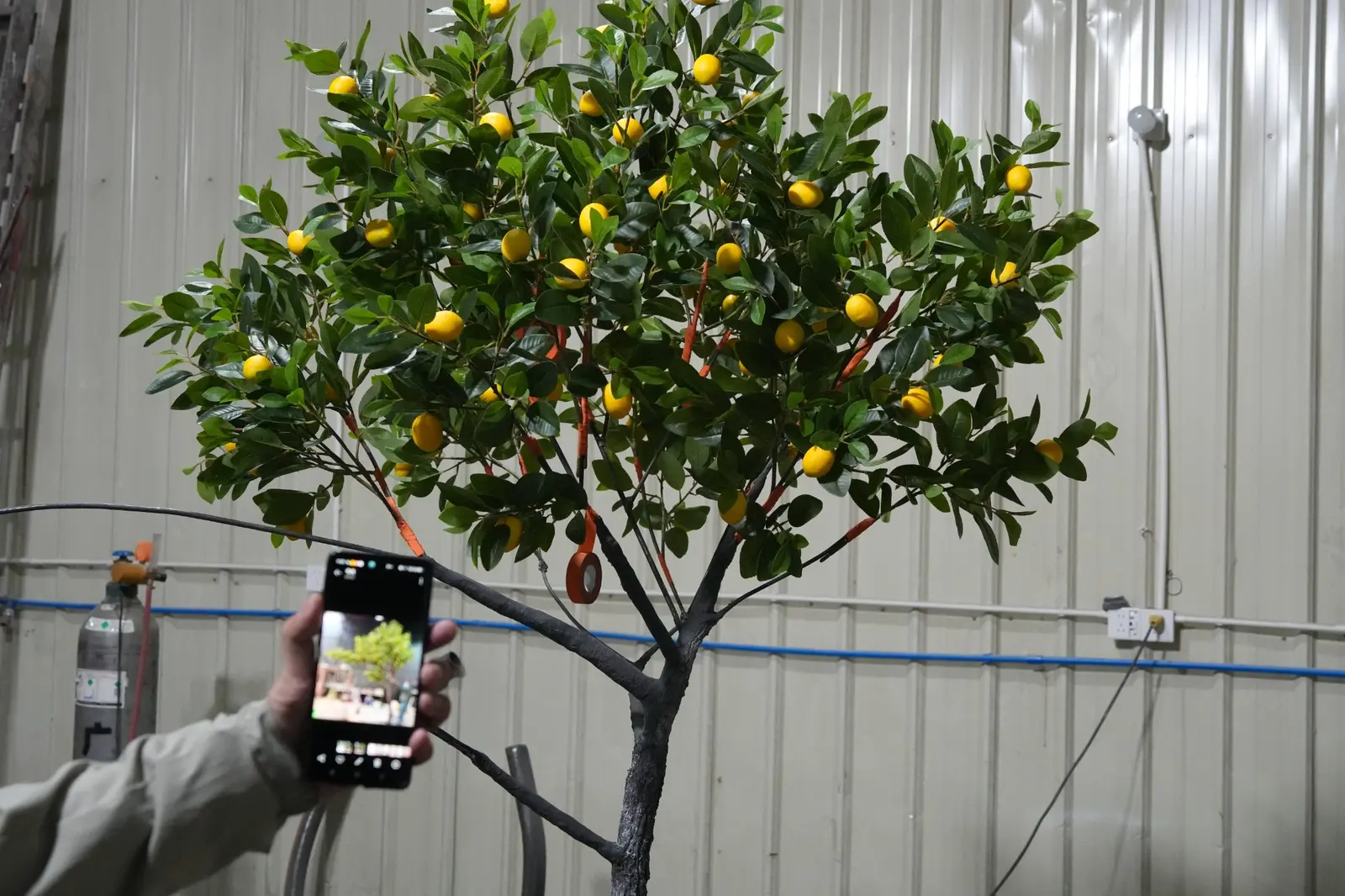 Oakco custom artificial tree sample prepared for project review