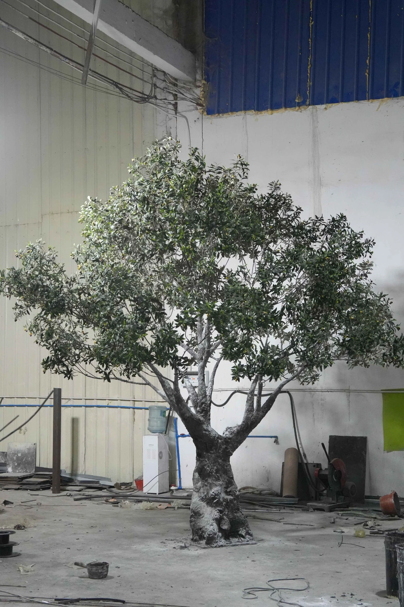 Completed Artificial Olive Tree Review Completed large artificial olive tree assembled in the Oakco workshop before delivery