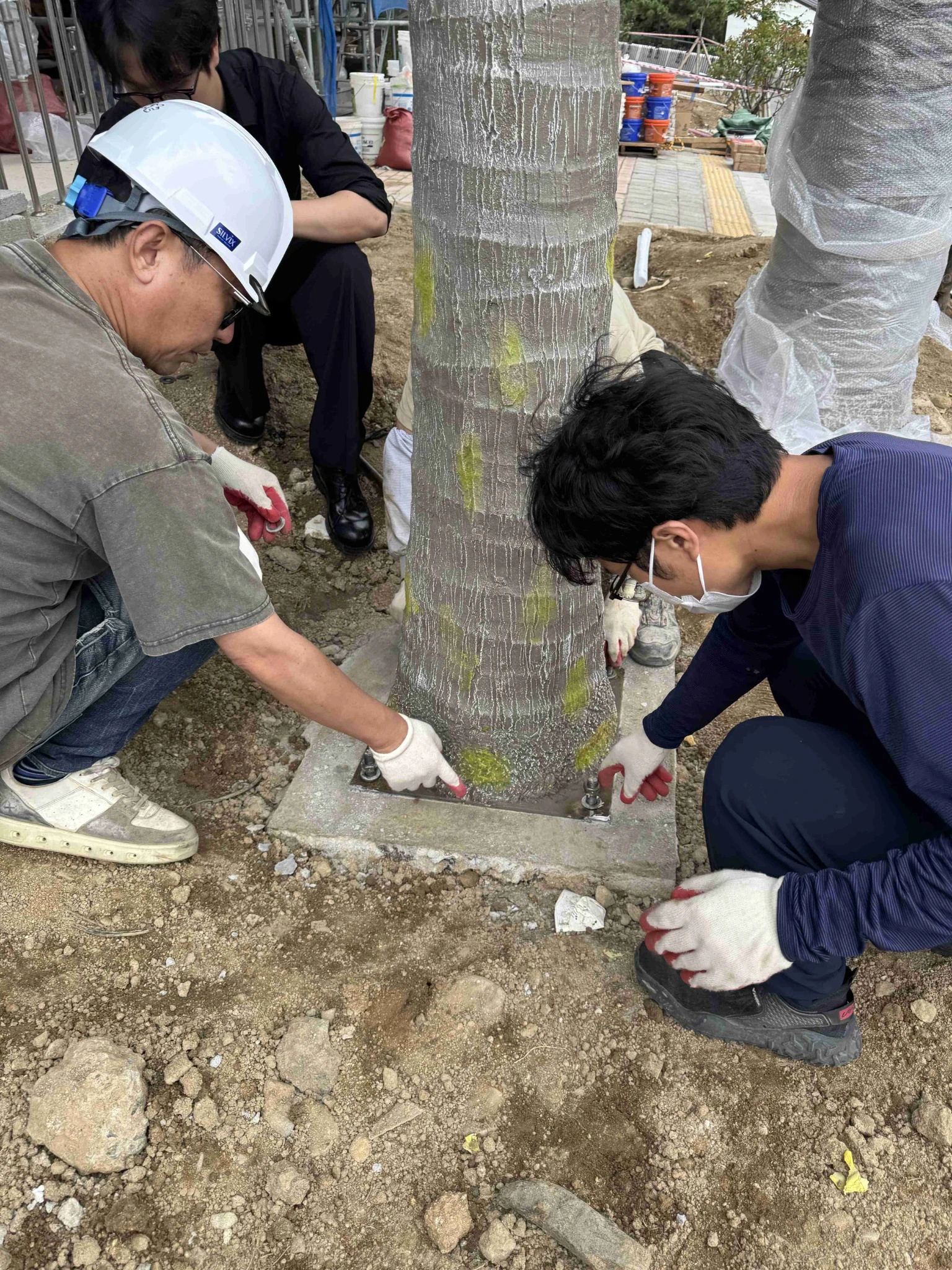 Artificial Palm Tree Base Plate Fixing Base plate fixing for an artificial palm tree installation
