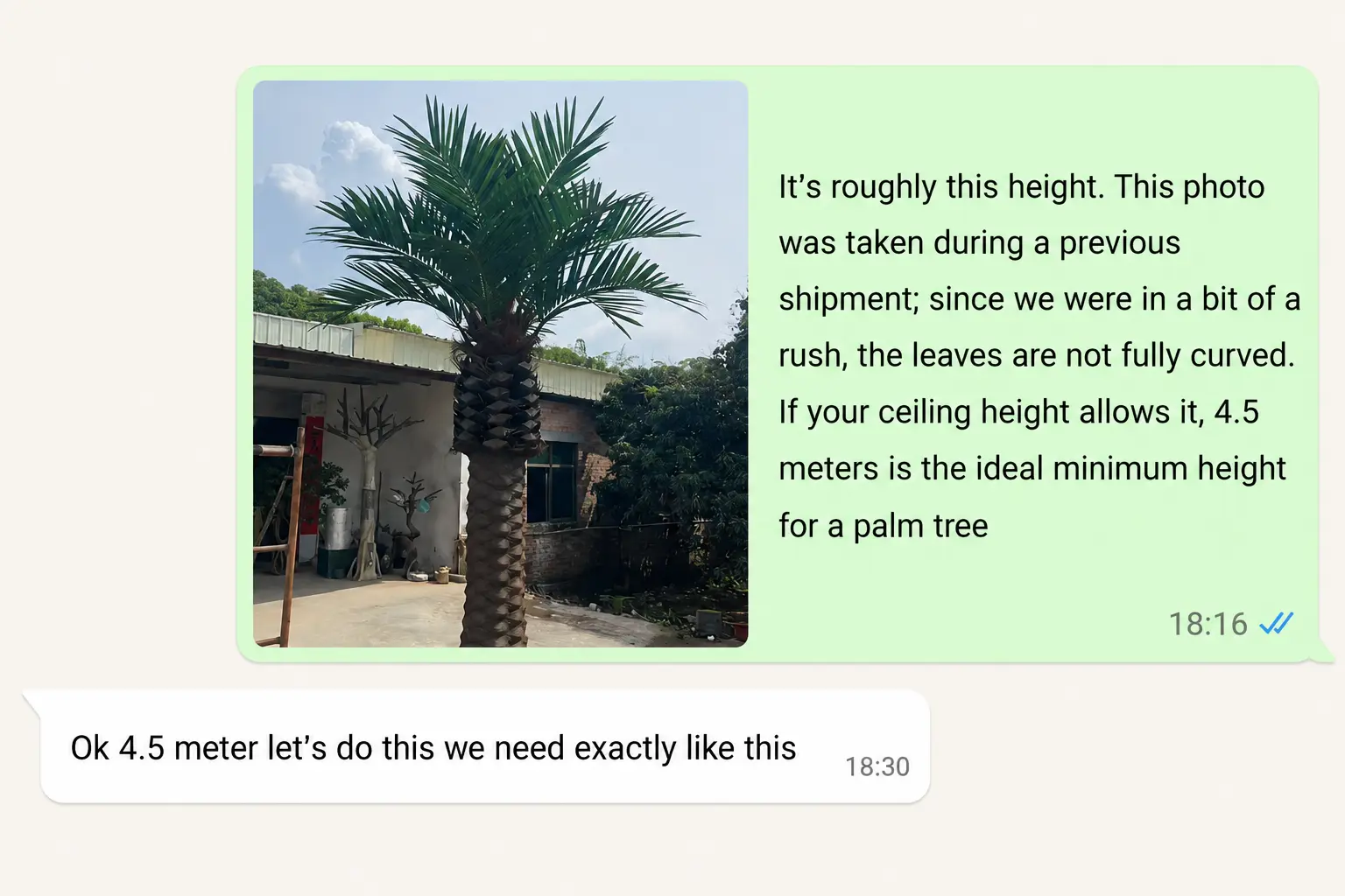 Client approval confirming the height and appearance of an Oakco artificial palm tree sample.