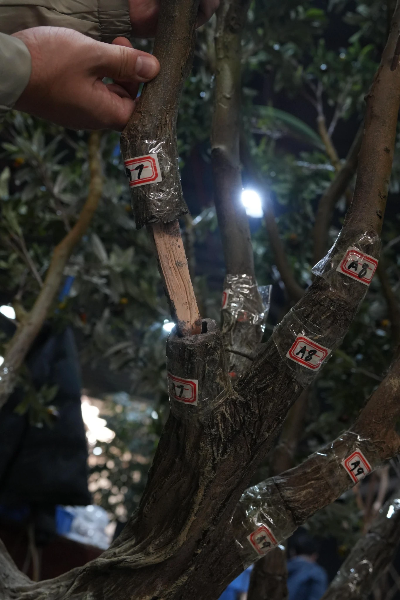 Large artificial tree branch assembly during commercial installation