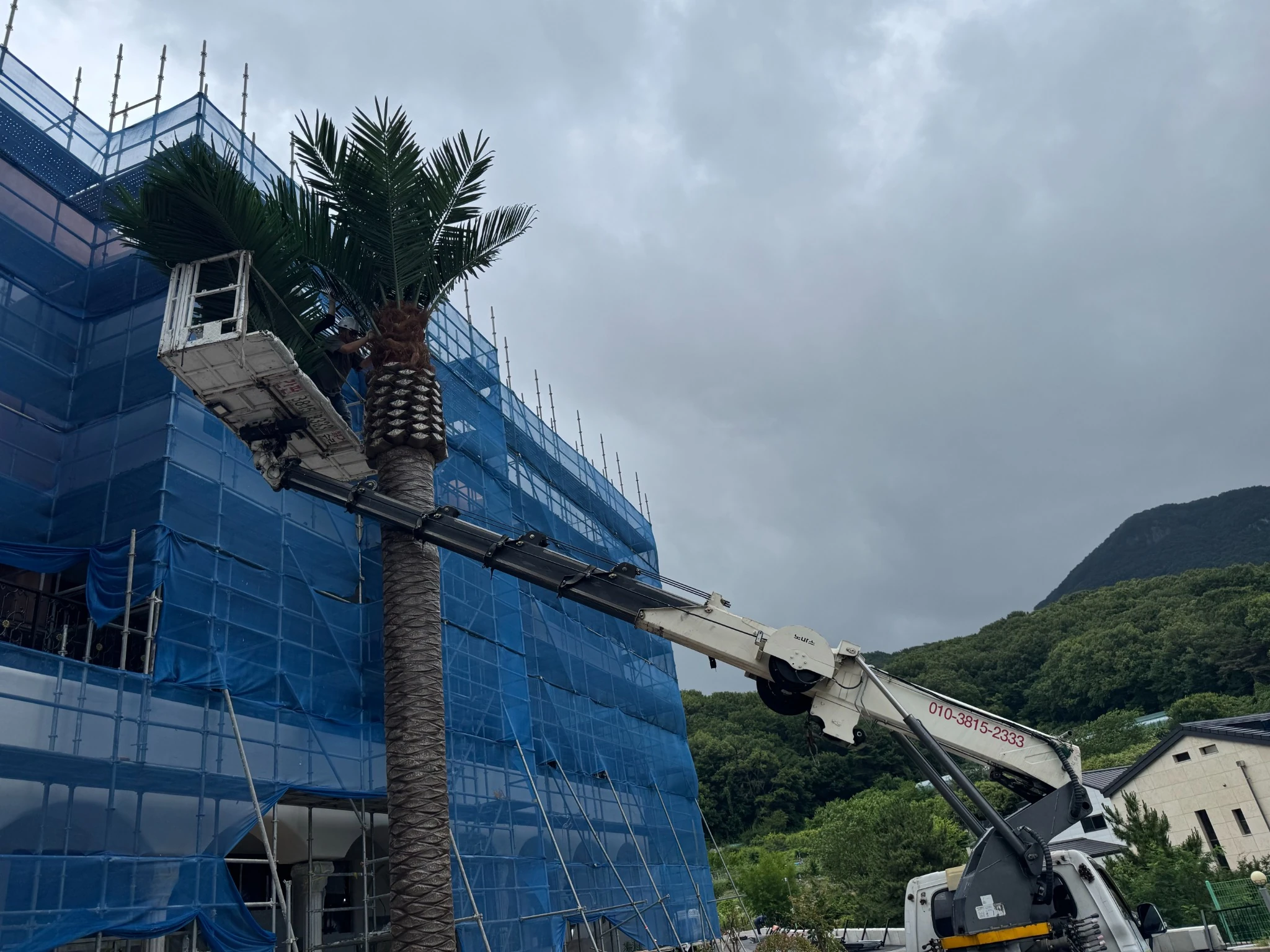 Outdoor artificial palm tree installation for a commercial landscape project