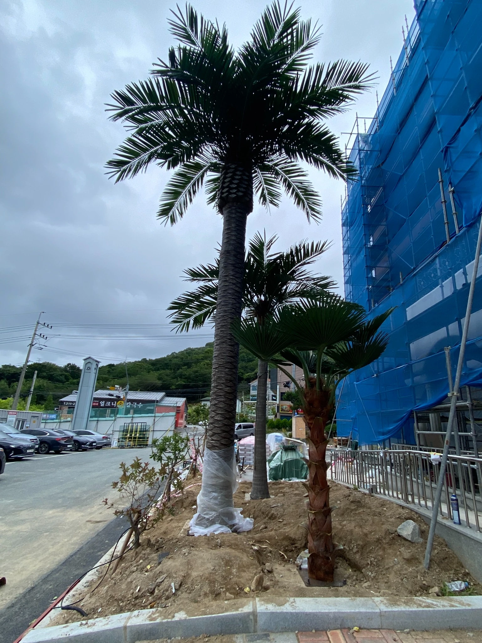 Outdoor Artificial Palm Tree Final Installation Final installation and crown adjustment of outdoor artificial palm trees