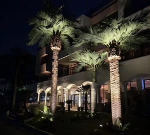 Tropical hospitality landscape featuring realistic artificial palm trees for hotel and commercial outdoor environments