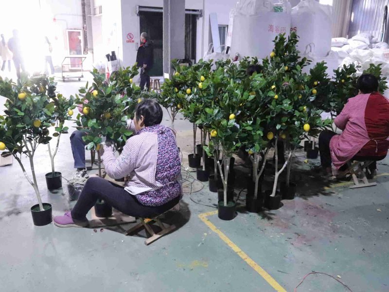 Artificial Lemon Tree Manufacturing Workshop Artificial Lemon Tree Manufacturing Workshop