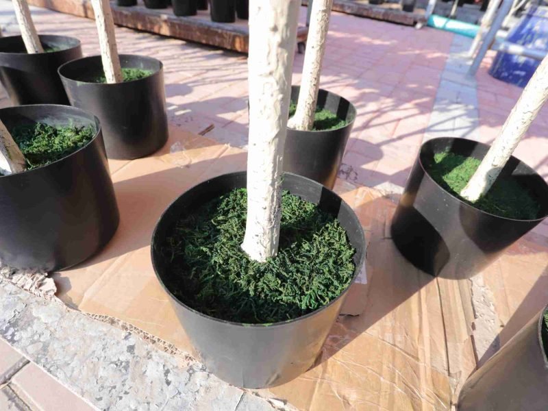 Artificial Lemon Tree Potted Base with Decorative Moss Artificial Lemon Tree Potted Base with Decorative Moss