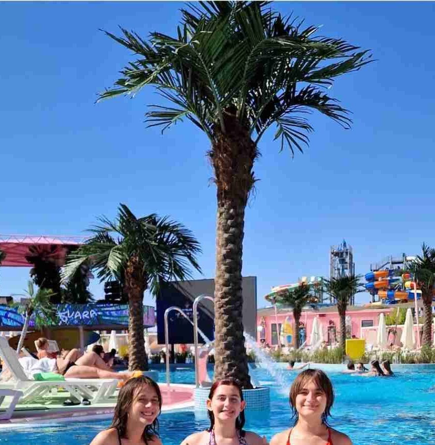 Artificial Palm Trees for Resort Outdoor Landscape Project artificial palm trees installed in resort outdoor landscape project, UV-resistant artificial trees designed for long-term commercial exterior use in leisure environments