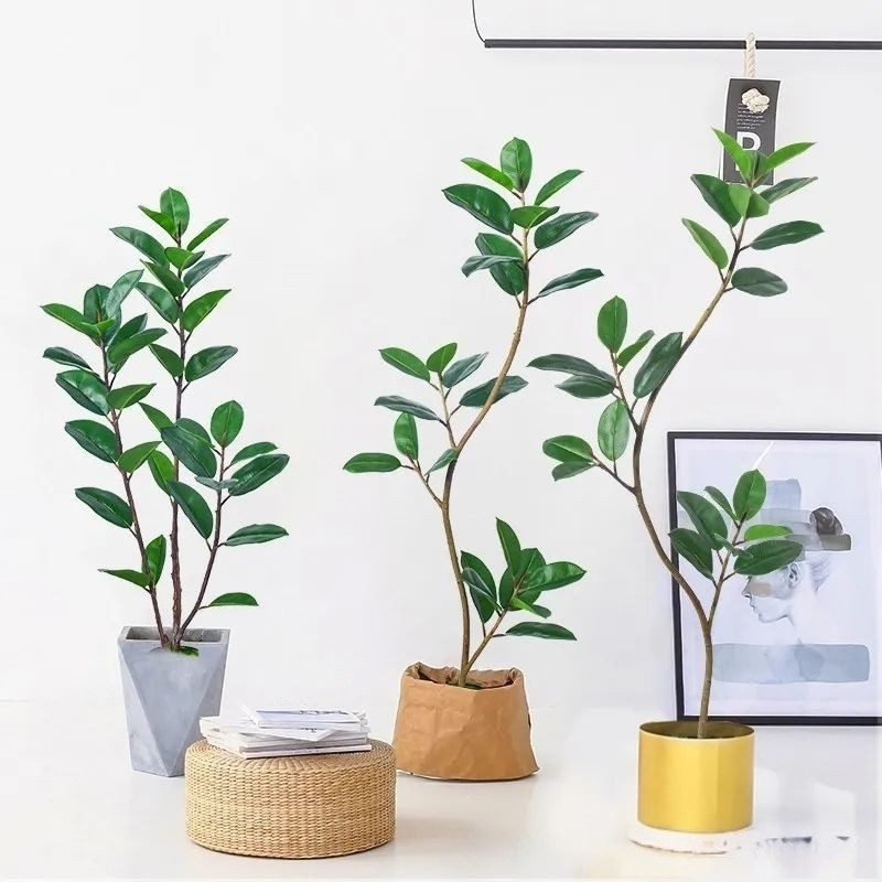 Artificial Rubber Tree (2)
