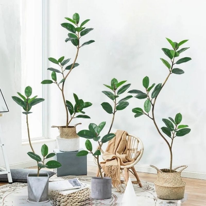Artificial Rubber Tree (3)