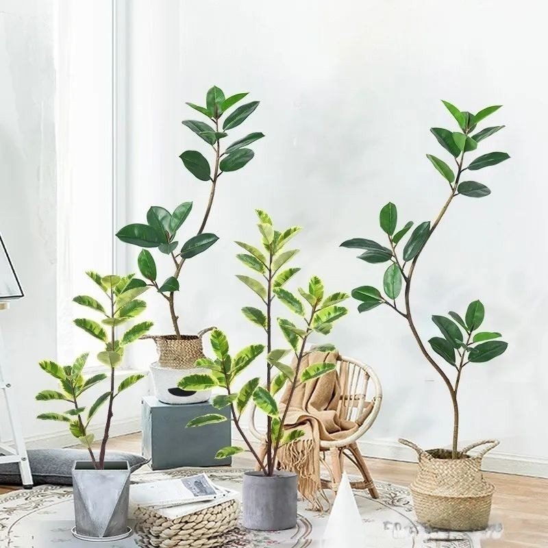 Artificial Rubber Tree (4)