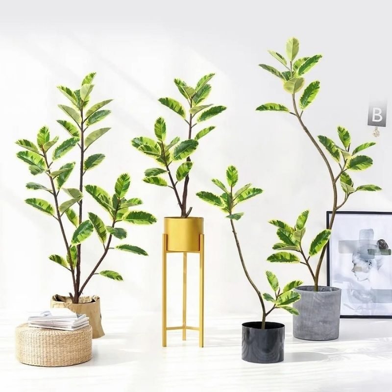Artificial Rubber Tree (5)