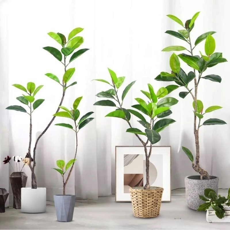 Artificial Rubber Tree (6)