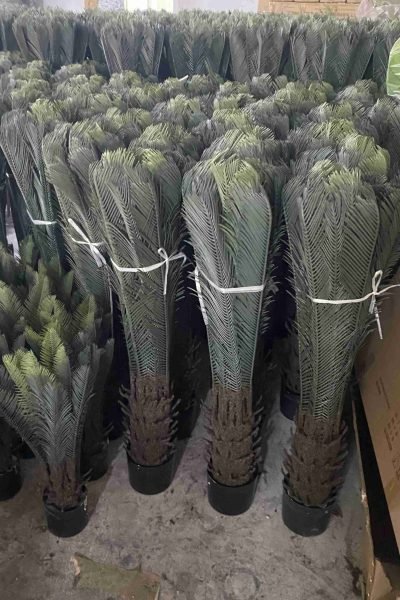 Bulk artificial cycas trees lined up in production area
