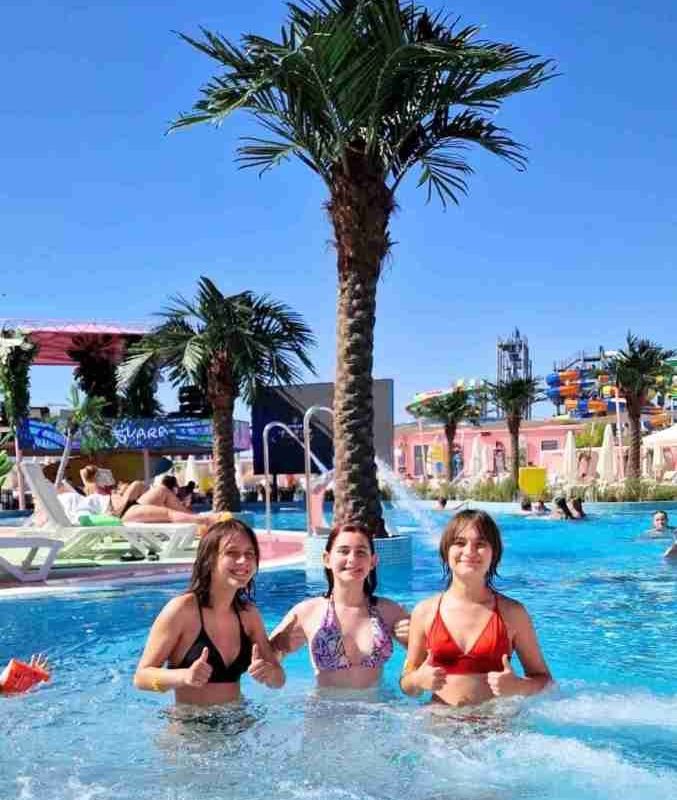 Commercial Outdoor artificial palm tree Landscaping