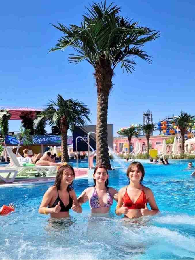 Commercial Outdoor artificial palm tree Landscaping