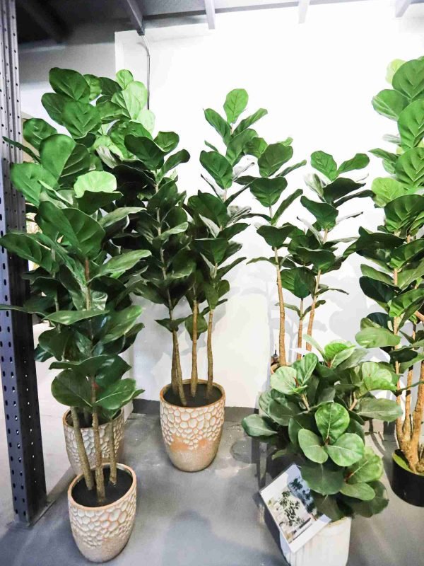 Faux Fiddle Leaf Fig (2)