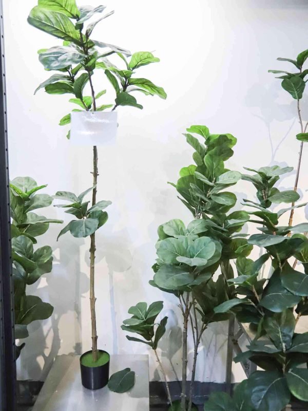 Faux Fiddle Leaf Fig (4)