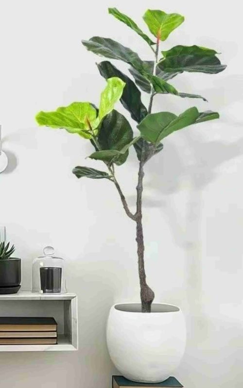 Faux Fiddle Leaf Fig Tree