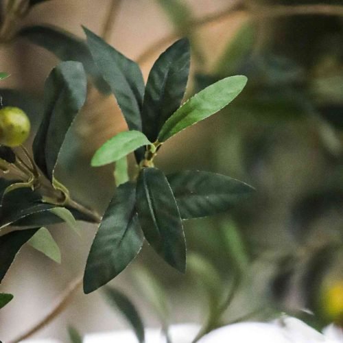 Faux Olive Tree 144667011 (2)