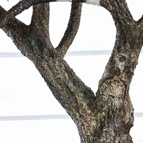 Faux Olive Tree 144667011 (5)