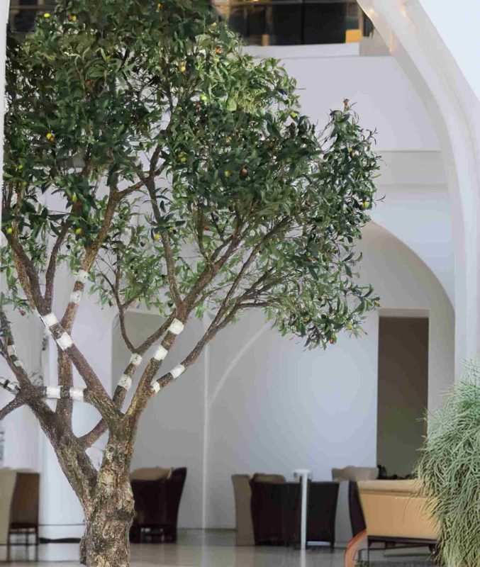 Faux Olive Tree