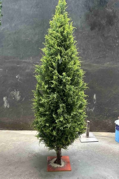 Final Sample Confirmation Artificial Cypress Tree