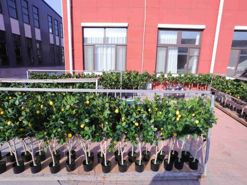 Outdoor Display of Artificial Lemon Trees Bulk Order Outdoor Display of Artificial Lemon Trees Bulk Order