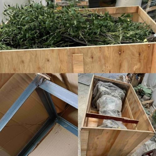 Packaging of the Olive Tree