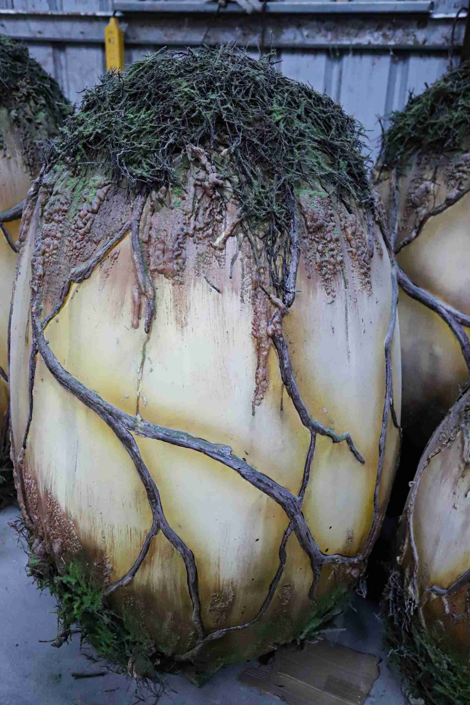 Small Luminous Fantasy Plants