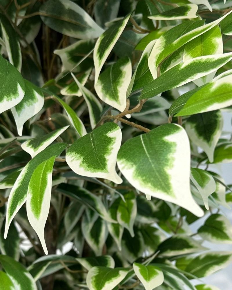 artificial Ficus tree (7) artificial Ficus tree