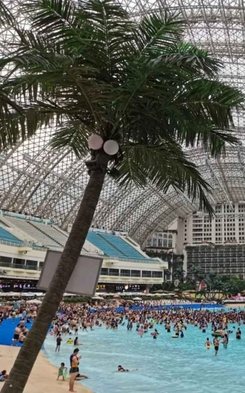 artificial palm trees (6)