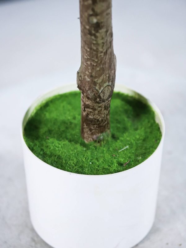 faux black olive tree