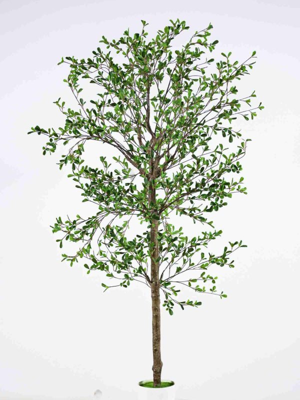 faux black olive tree