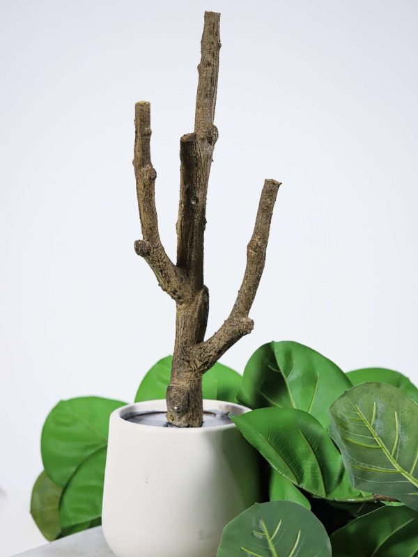 faux fiddle leaf fig