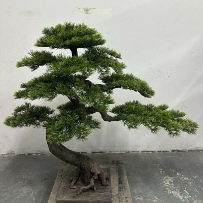 faux pine tree (2) faux pine tree (2)