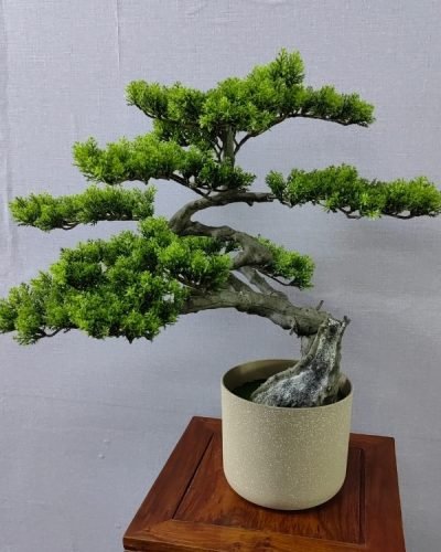 faux pine tree (3) faux pine tree (3)