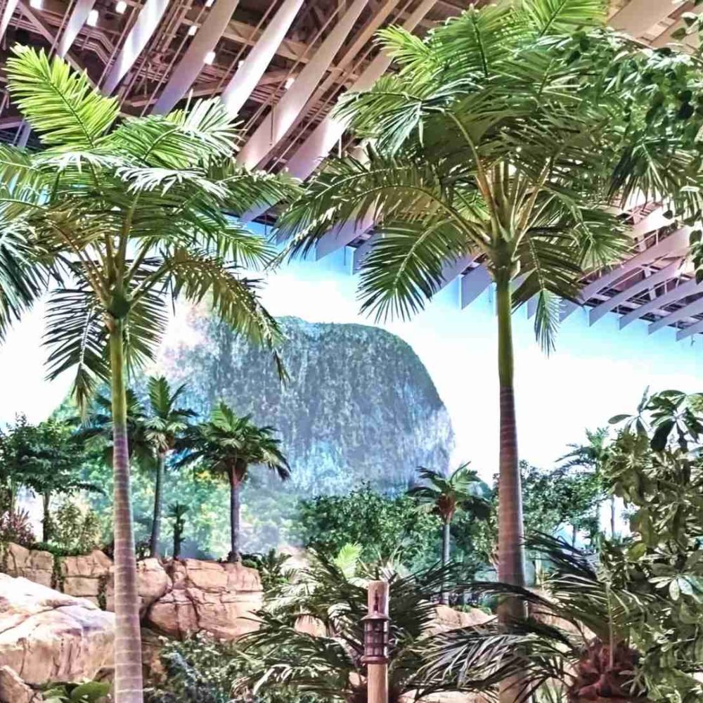 large-outdoor-artificial-palm-trees-for-theme-park-landscape